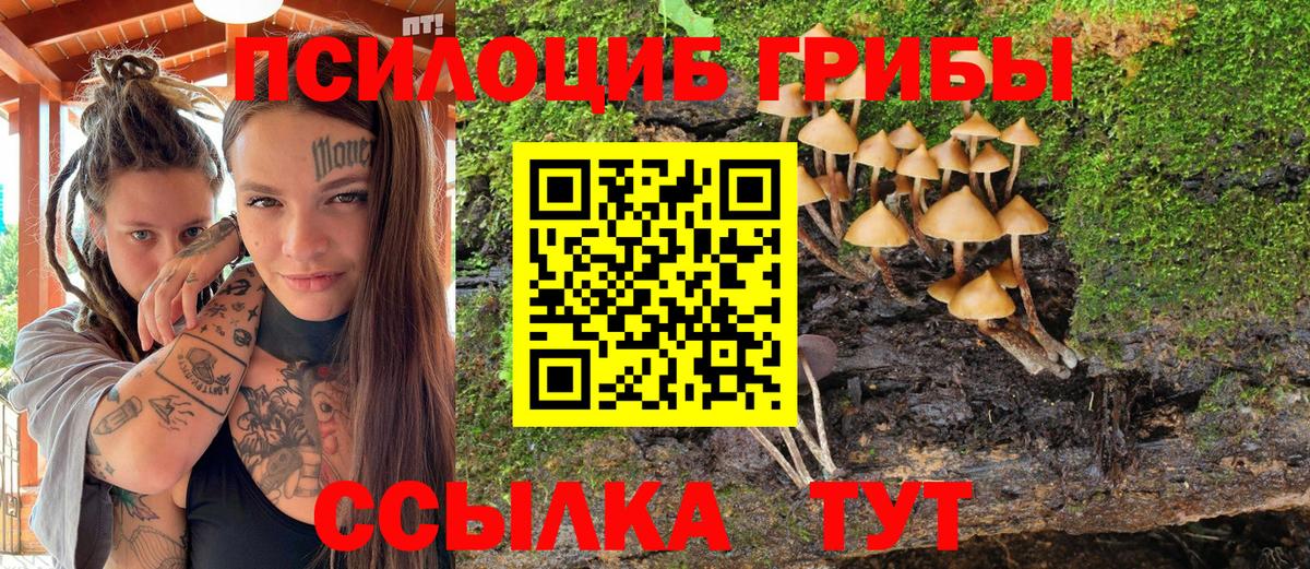 Псилоцибиновые грибы мухоморы Туапсе